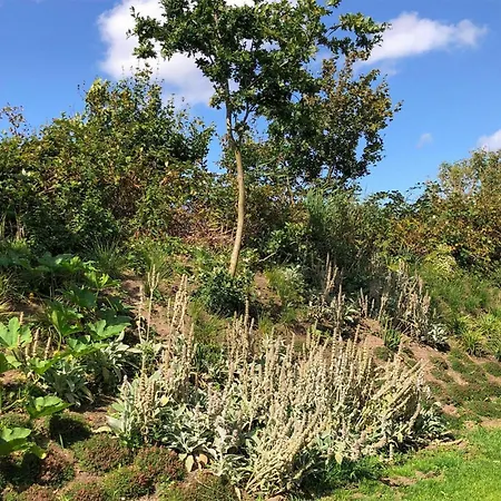 Kavel 13 * Den Oever